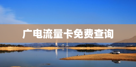 广电流量卡免费查询