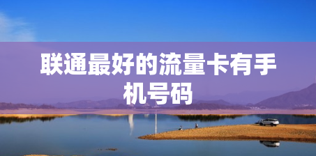 联通最好的流量卡有手机号码