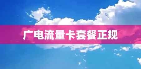 广电流量卡套餐正规