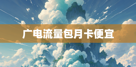 广电流量包月卡便宜