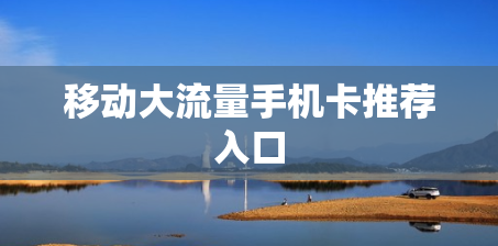 移动大流量手机卡推荐入口