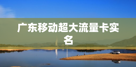 广东移动超大流量卡实名