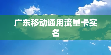 广东移动通用流量卡实名