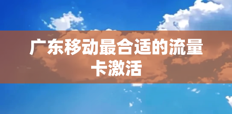 广东移动最合适的流量卡激活