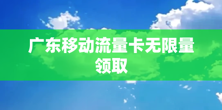 广东移动流量卡无限量领取
