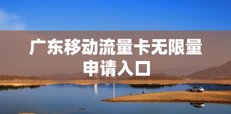 广东移动流量卡无限量申请入口