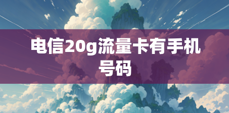 电信20g流量卡有手机号码