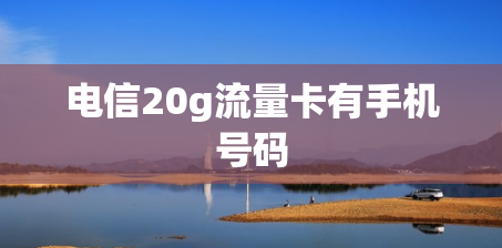 电信20g流量卡有手机号码