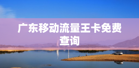广东移动流量王卡免费查询