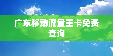 广东移动流量王卡免费查询