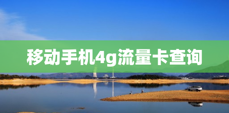 移动手机4g流量卡查询