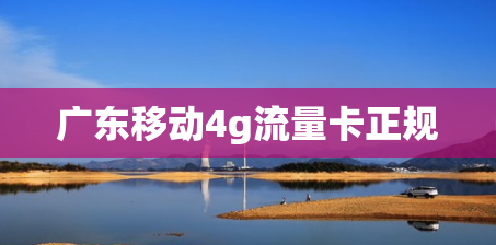 广东移动4g流量卡正规