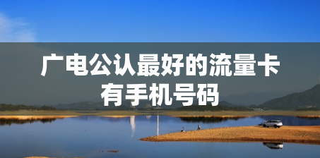 广电公认最好的流量卡有手机号码