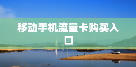 移动手机流量卡购买入口